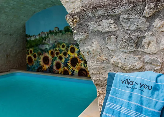 Dom wakacyjny Les Roches De